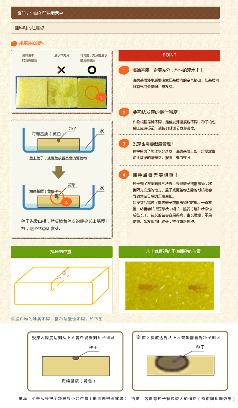 详情页1.jpg