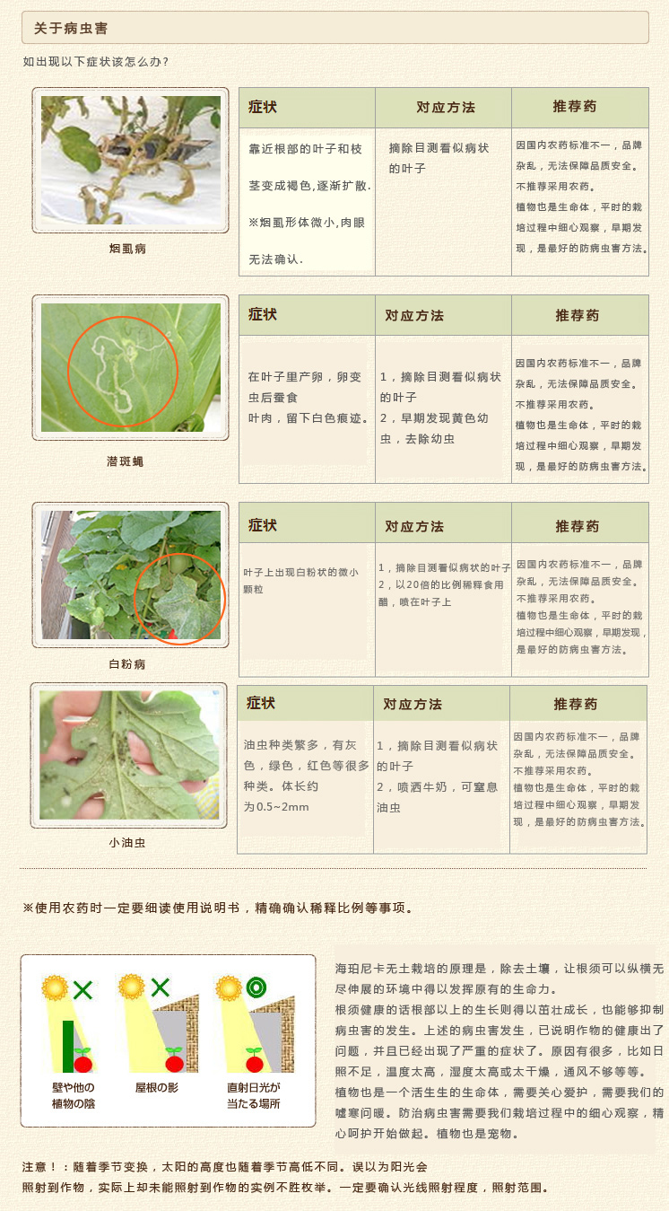 详情页1.jpg
