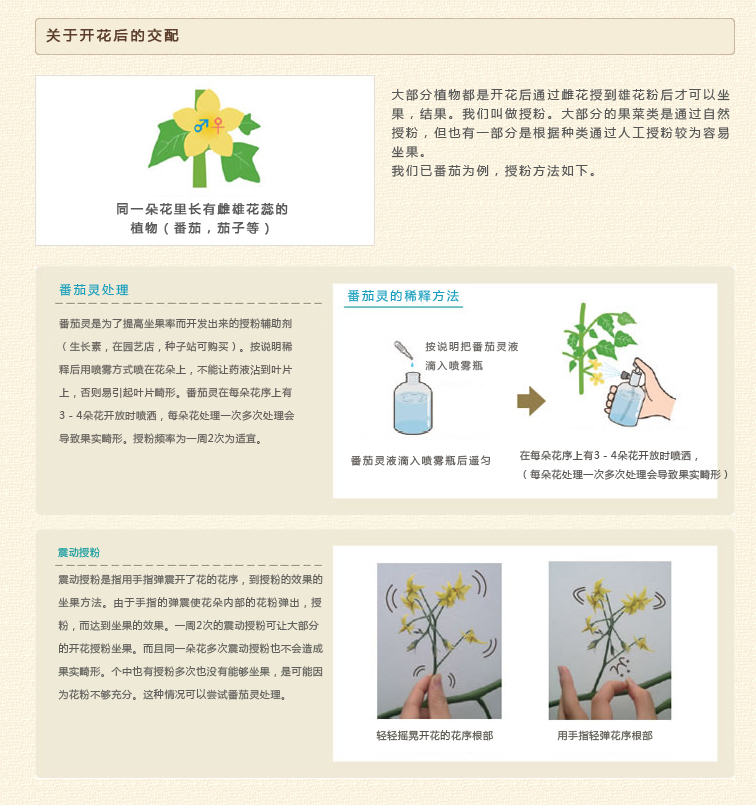 详情页1.jpg