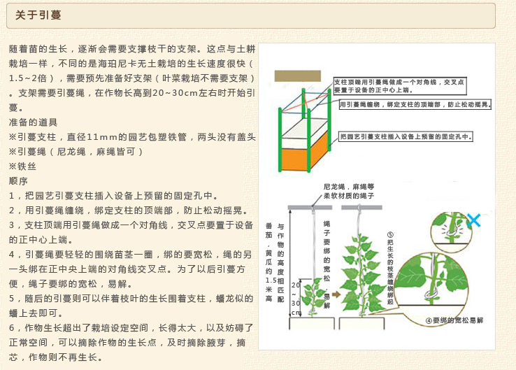 详情页1.jpg