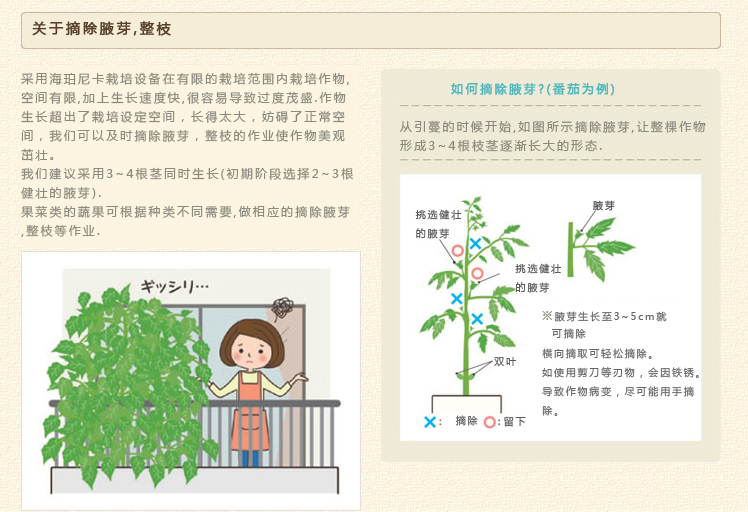 详情页1.jpg