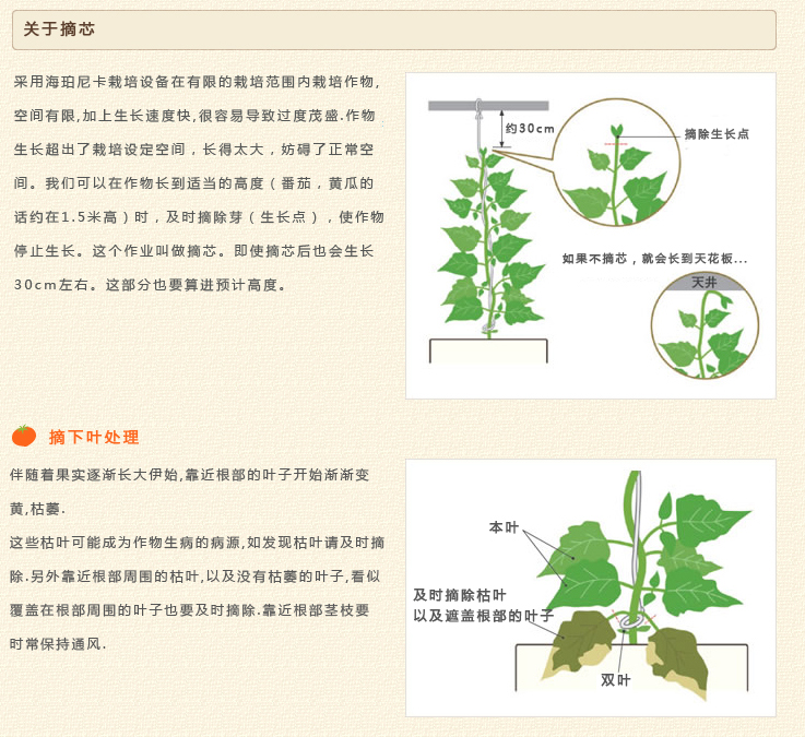 详情页1.jpg
