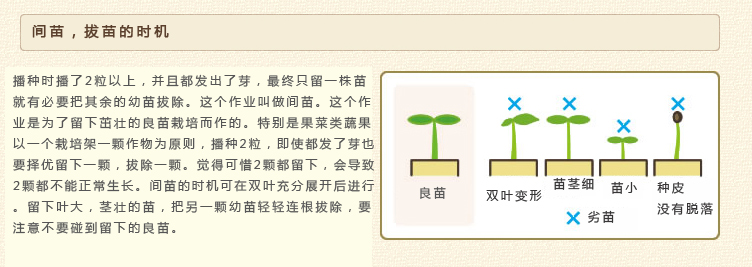 详情页1.jpg