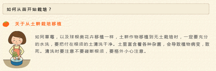 详情页1.jpg